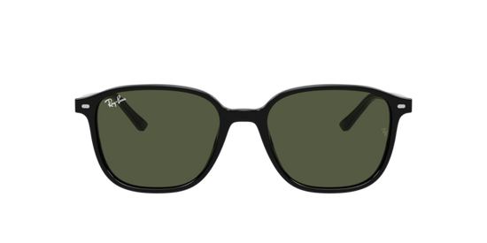 Ray-Ban Leonard Sunglasses RB2193 901/31