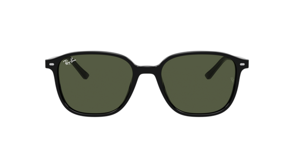 Ray-Ban Leonard RB2193 901/31