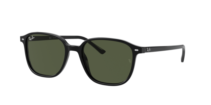 Ray-Ban Leonard Sunglasses RB2193 901/31