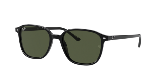 Ray-Ban Leonard Sunglasses RB2193 901/31