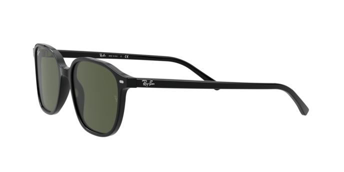 Ray-Ban Leonard Sunglasses RB2193 901/31