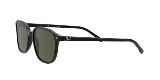 Ray-Ban Leonard Sunglasses RB2193 901/31