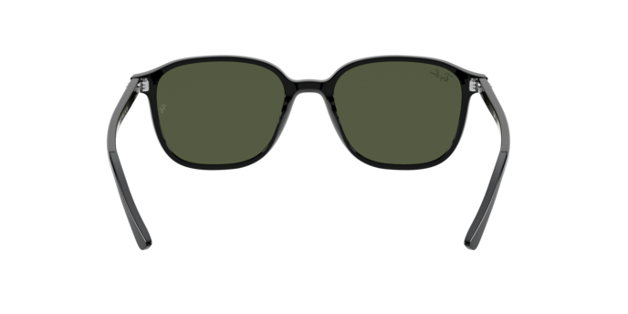 Ray-Ban Leonard Sunglasses RB2193 901/31