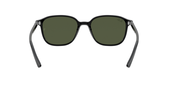 Ray-Ban Leonard Sunglasses RB2193 901/31