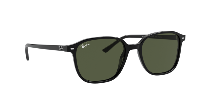 Ray-Ban Leonard Sunglasses RB2193 901/31