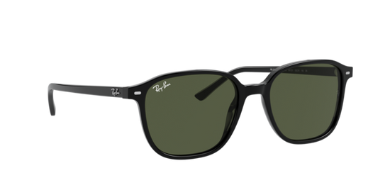 Ray-Ban Leonard Sunglasses RB2193 901/31