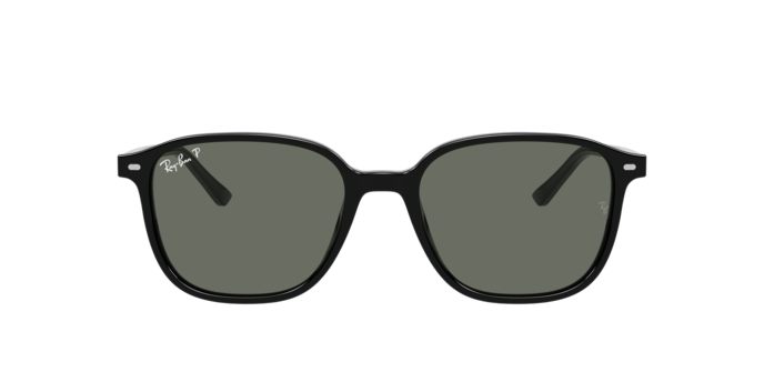 Ray-Ban Leonard Sunglasses RB2193 901/58