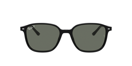 Ray-Ban Leonard Sunglasses RB2193 901/58