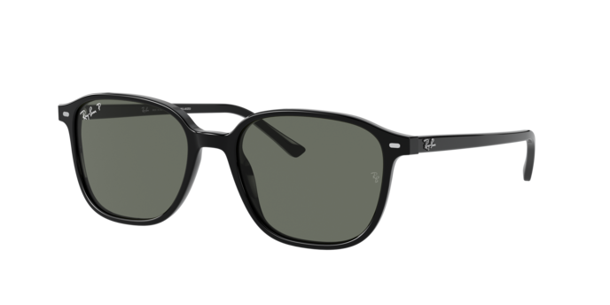 Ray-Ban Leonard Sunglasses RB2193 901/58