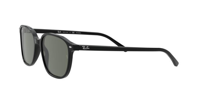 Ray-Ban Leonard Sunglasses RB2193 901/58