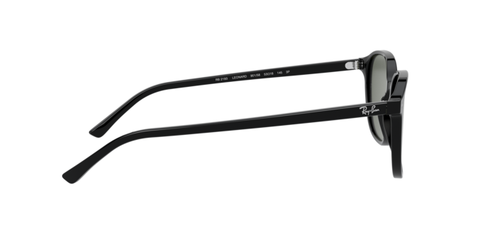 Ray-Ban Leonard Sunglasses RB2193 901/58