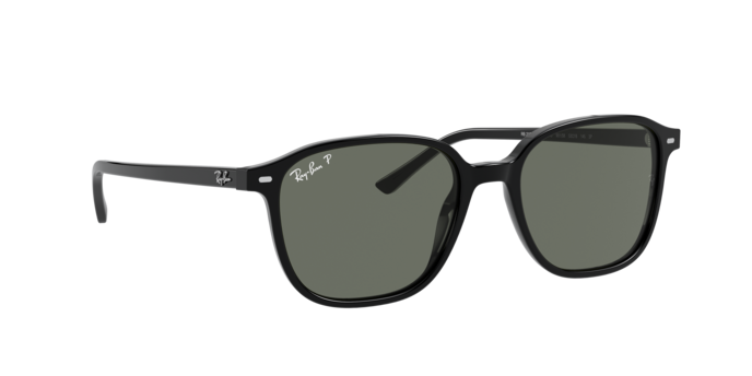 Ray-Ban Leonard Sunglasses RB2193 901/58