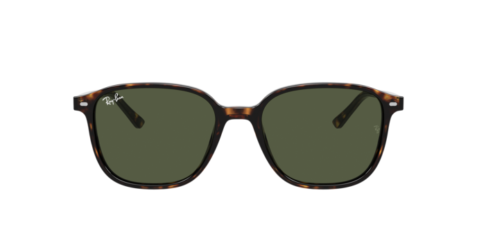 Ray-Ban Leonard Sunglasses RB2193 902/31