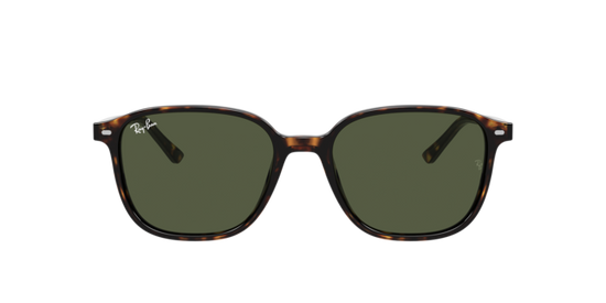 Ray-Ban Leonard Sunglasses RB2193 902/31