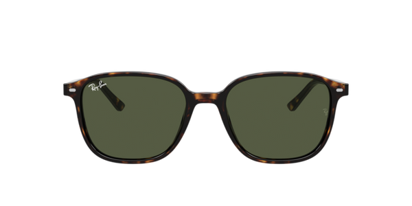 Ray-Ban Leonard RB2193 902/31