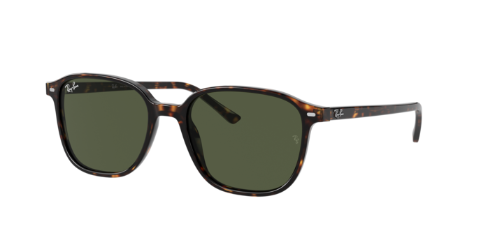 Ray-Ban Leonard Sunglasses RB2193 902/31