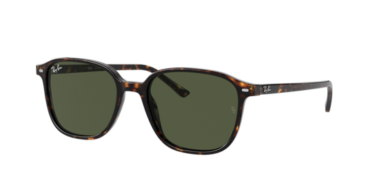 Ray-Ban Leonard Sunglasses RB2193 902/31