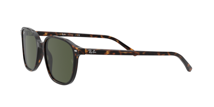 Ray-Ban Leonard Sunglasses RB2193 902/31