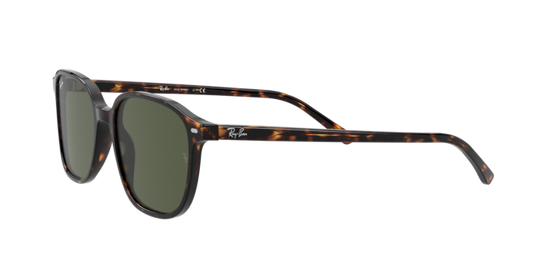 Ray-Ban Leonard Sunglasses RB2193 902/31