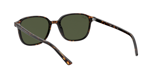 Ray-Ban Leonard Sunglasses RB2193 902/31