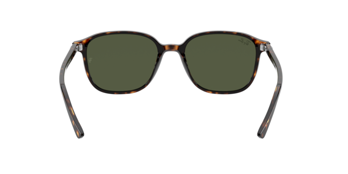 Ray-Ban Leonard Sunglasses RB2193 902/31