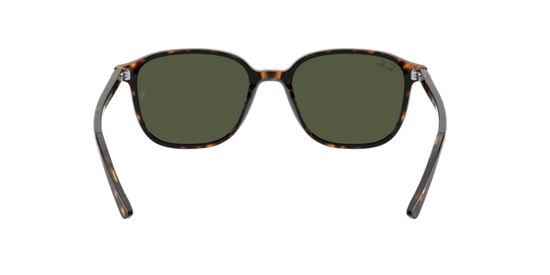 Ray-Ban Leonard Sunglasses RB2193 902/31