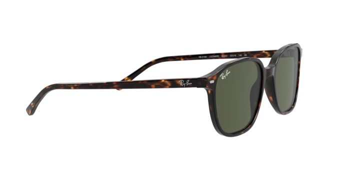 Ray-Ban Leonard Sunglasses RB2193 902/31