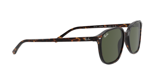 Ray-Ban Leonard Sunglasses RB2193 902/31