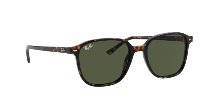 Ray-Ban Leonard Sunglasses RB2193 902/31