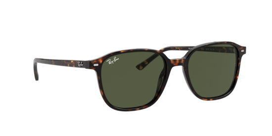 Ray-Ban Leonard Sunglasses RB2193 902/31