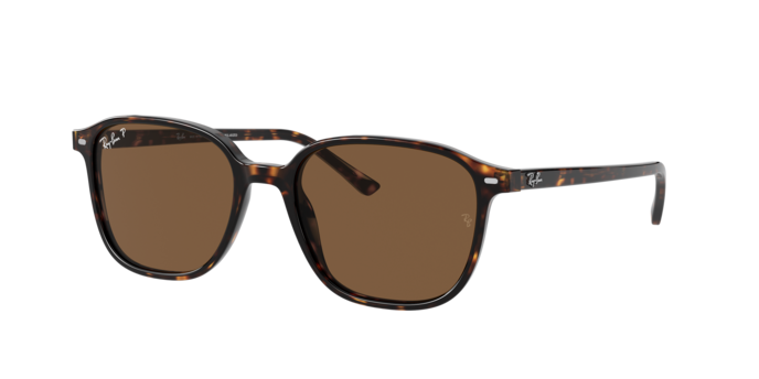 Ray-Ban Leonard Sunglasses RB2193 902/57
