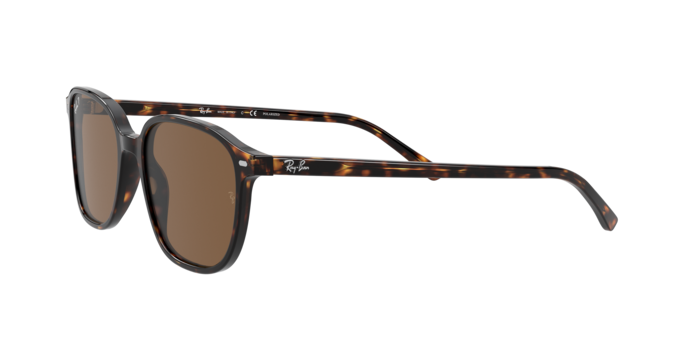 Ray-Ban Leonard Sunglasses RB2193 902/57