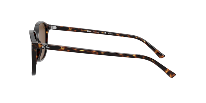 Ray-Ban Leonard Sunglasses RB2193 1314B1