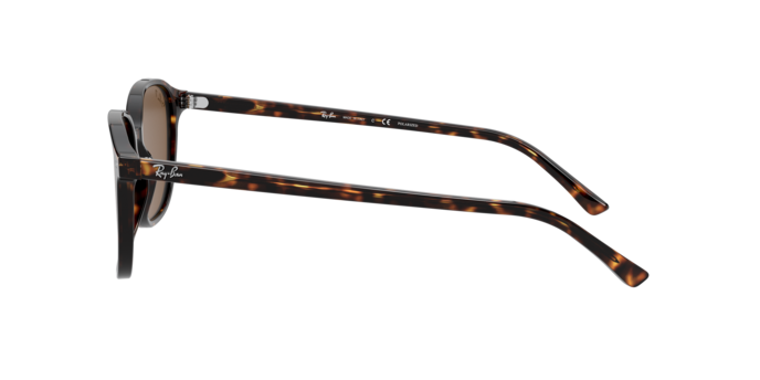 Ray-Ban Leonard Sunglasses RB2193 902/57