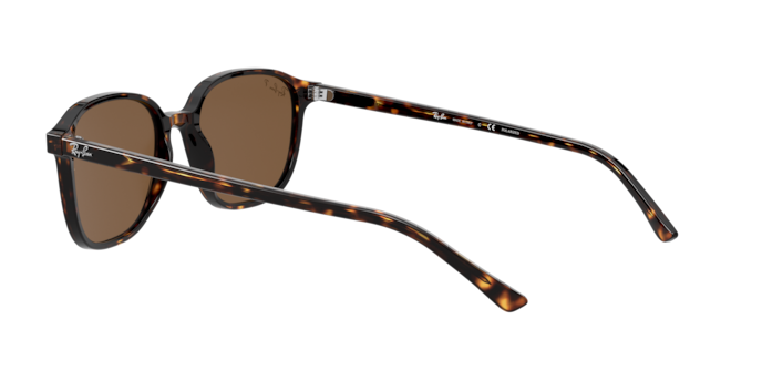 Ray-Ban Leonard Sunglasses RB2193 1314B1