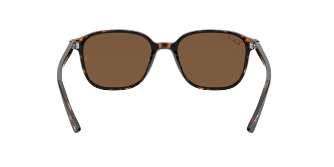 Ray-Ban Leonard Sunglasses RB2193 902/57