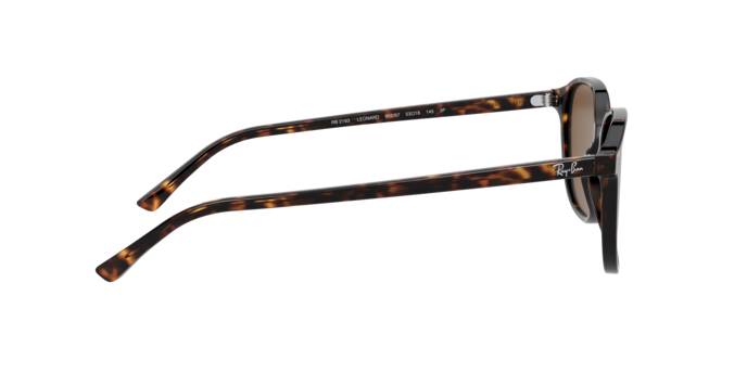 Ray-Ban Leonard Sunglasses RB2193 902/57