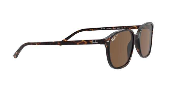 Ray-Ban Leonard Sunglasses RB2193 1314B1