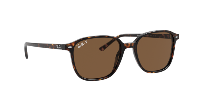 Ray-Ban Leonard Sunglasses RB2193 1314B1