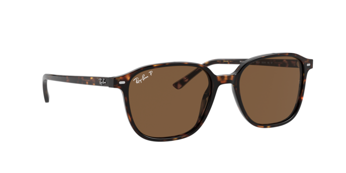 Ray-Ban Leonard Sunglasses RB2193 902/57