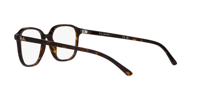 Ray-Ban Leonard Sunglasses RB2193 902/GH