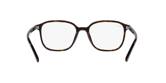 Ray-Ban Leonard Sunglasses RB2193 902/GH