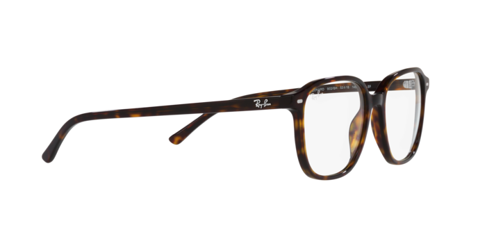 Ray-Ban Leonard Sunglasses RB2193 902/GH