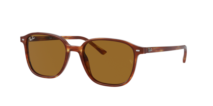 Ray-Ban Leonard Sunglasses RB2193 954/33