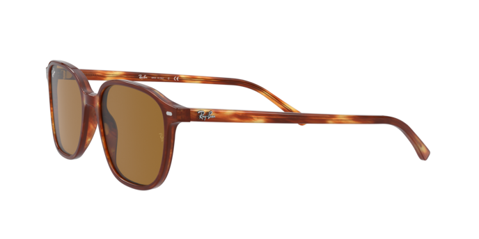 Ray-Ban Leonard Sunglasses RB2193 954/33