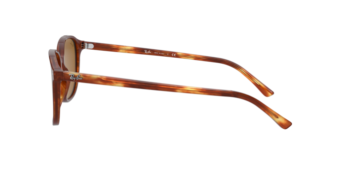 Ray-Ban Leonard Sunglasses RB2193 954/33