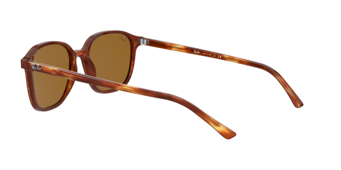 Ray-Ban Leonard Sunglasses RB2193 954/33