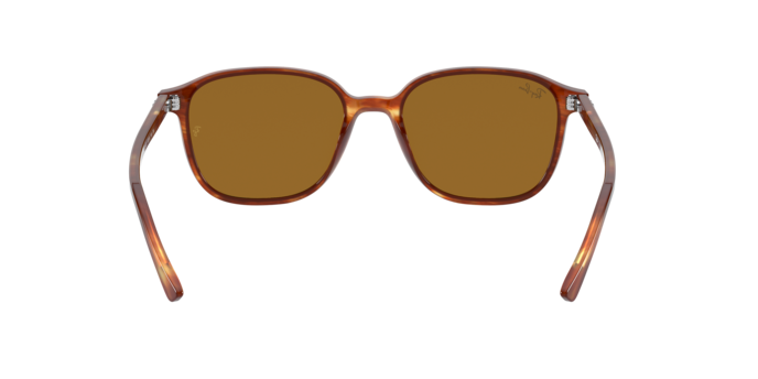 Ray-Ban Leonard Sunglasses RB2193 954/33