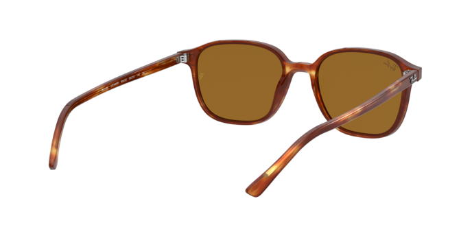 Ray-Ban Leonard Sunglasses RB2193 954/33