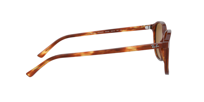 Ray-Ban Leonard Sunglasses RB2193 954/33